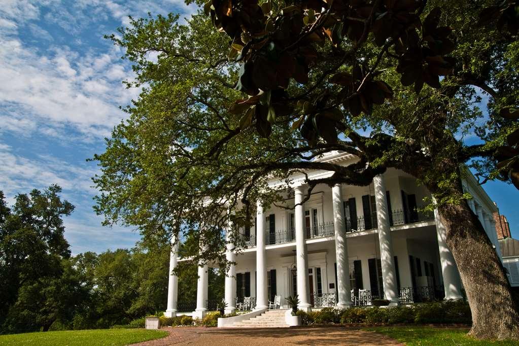 Dunleith Historic Inn Natchez Exterior foto