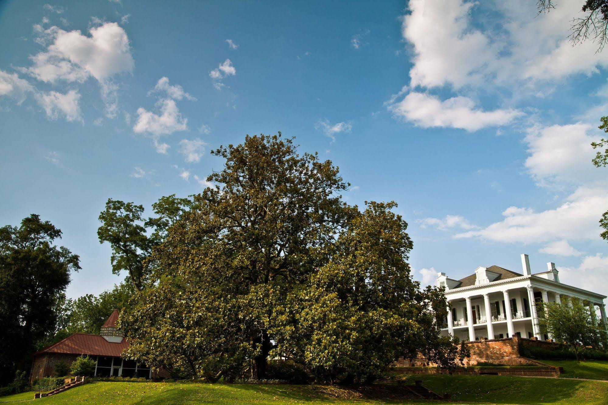 Dunleith Historic Inn Natchez Exterior foto
